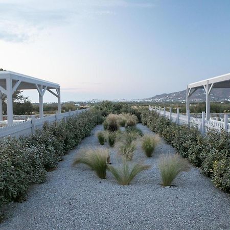 Olives Rocks Naxian Villas Agia Anna  Exterior photo