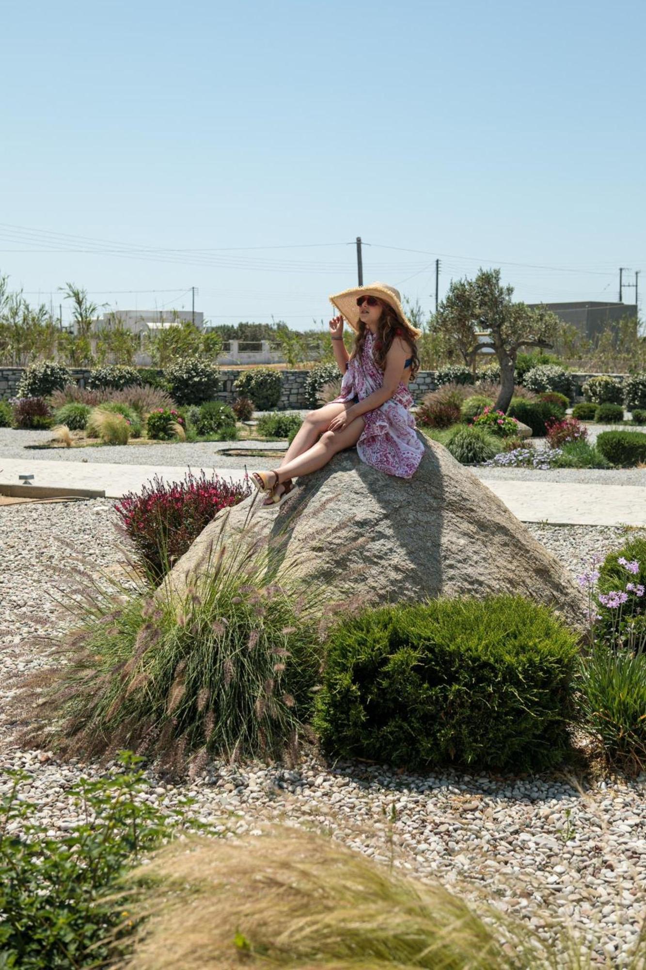 Olives Rocks Naxian Villas Agia Anna  Exterior photo