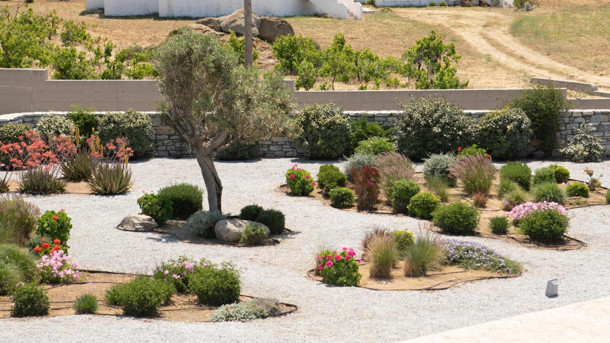 Olives Rocks Naxian Villas Agia Anna  Exterior photo