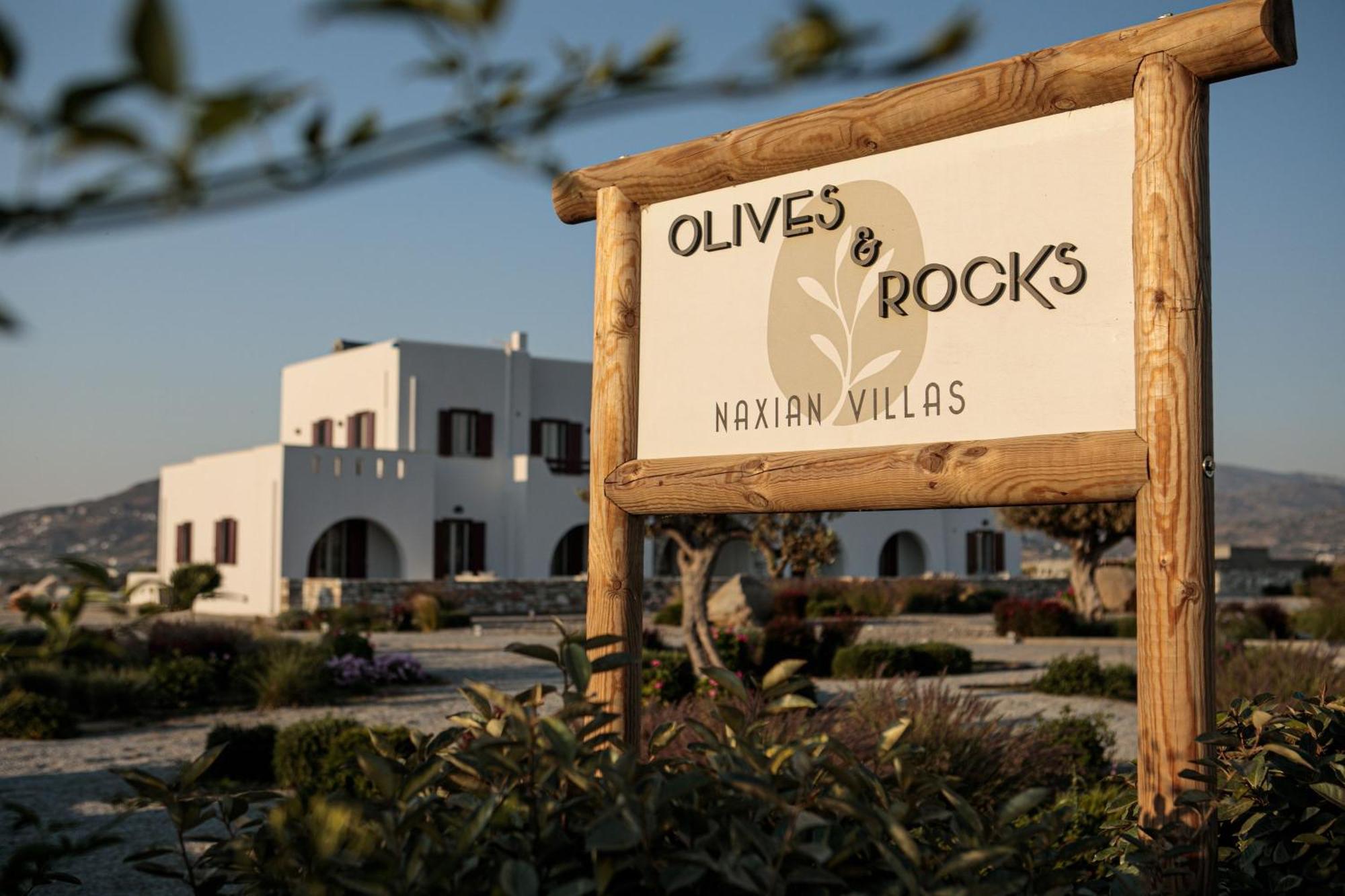 Olives Rocks Naxian Villas Agia Anna  Exterior photo